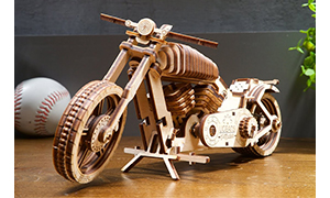 Bike VM-02 Model